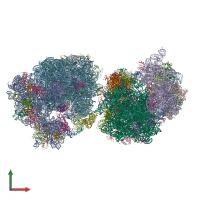 PDB entry 4v8a coloured by chain, front view.
