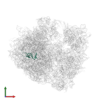 Large ribosomal subunit protein uL13 in PDB entry 4v8a, assembly 1, front view.