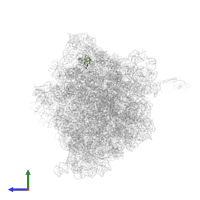 Large ribosomal subunit protein bL27 in PDB entry 4v8b, assembly 2, side view.