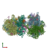 PDB entry 4v8d coloured by chain, front view.