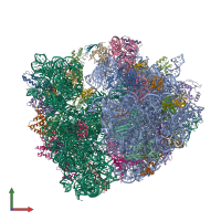 Hetero 53-meric assembly 1 of PDB entry 4v8i coloured by chemically distinct molecules, front view.