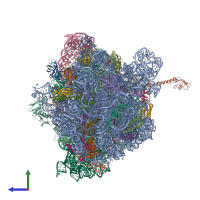 Hetero 53-meric assembly 1 of PDB entry 4v8i coloured by chemically distinct molecules, side view.