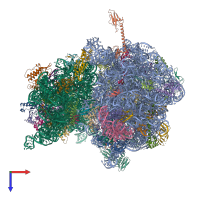 Hetero 53-meric assembly 1 of PDB entry 4v8i coloured by chemically distinct molecules, top view.