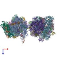 PDB entry 4v8i coloured by chain, top view.