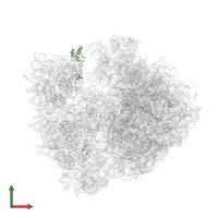 Small ribosomal subunit protein uS13 in PDB entry 4v8i, assembly 2, front view.