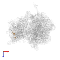 30S Ribosomal Protein S14 in PDB entry 4v8i, assembly 2, top view.