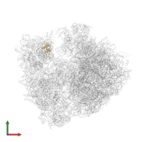 Small ribosomal subunit protein uS19 in PDB entry 4v8i, assembly 2, front view.