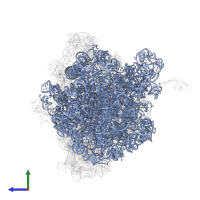 23S ribosomal RNA in PDB entry 4v8i, assembly 2, side view.