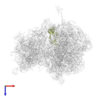 Large ribosomal subunit protein uL2 in PDB entry 4v8i, assembly 2, top view.