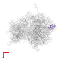 Large ribosomal subunit protein uL4 in PDB entry 4v8i, assembly 2, top view.