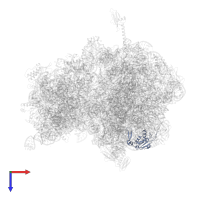 Large ribosomal subunit protein uL13 in PDB entry 4v8i, assembly 2, top view.