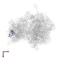 Small ribosomal subunit protein uS3 in PDB entry 4v8i, assembly 2, top view.