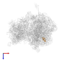 Large ribosomal subunit protein uL30 in PDB entry 4v8i, assembly 2, top view.