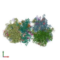 PDB entry 4v8j coloured by chain, front view.