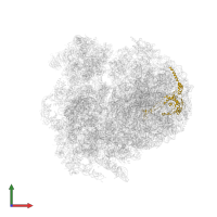 60S ribosomal protein L4 C-terminal domain-containing protein in PDB entry 4v8m, assembly 1, front view.