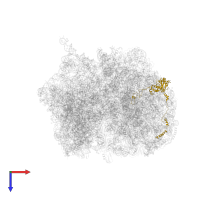 60S ribosomal protein L4 C-terminal domain-containing protein in PDB entry 4v8m, assembly 1, top view.