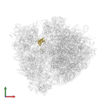 Small ribosomal subunit protein uS11 in PDB entry 4v8n, assembly 1, front view.