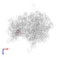 Small ribosomal subunit protein bS16 in PDB entry 4v8n, assembly 1, top view.