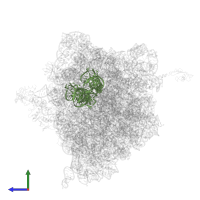 E-SITE TRNA ILE2 AGMATIDINE OR P-SITE TRNA ILE2 AGMATIDINE in PDB entry 4v8n, assembly 1, side view.