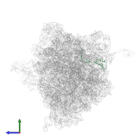 Large ribosomal subunit protein bL28 in PDB entry 4v8n, assembly 1, side view.