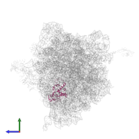 Small ribosomal subunit protein uS4 in PDB entry 4v8n, assembly 1, side view.