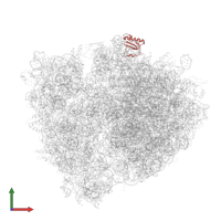 Large ribosomal subunit protein uL18 in PDB entry 4v8n, assembly 1, front view.