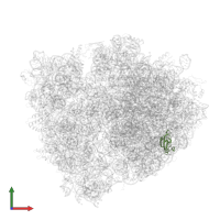Large ribosomal subunit protein uL23 in PDB entry 4v8n, assembly 1, front view.