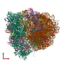 PDB entry 4v8o coloured by chain, front view.