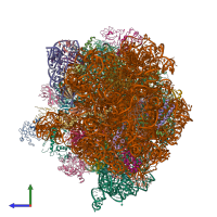 PDB entry 4v8o coloured by chain, side view.