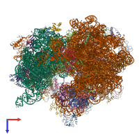 PDB entry 4v8o coloured by chain, top view.