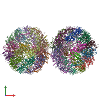 PDB entry 4v8r coloured by chain, front view.