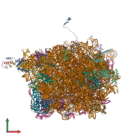 PDB entry 4v8t coloured by chain, front view.