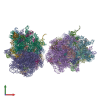 PDB entry 4v8u coloured by chain, front view.