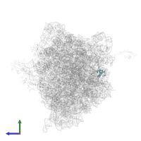 Small ribosomal subunit protein bS18 in PDB entry 4v8x, assembly 1, side view.