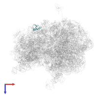 Small ribosomal subunit protein bS18 in PDB entry 4v8x, assembly 1, top view.