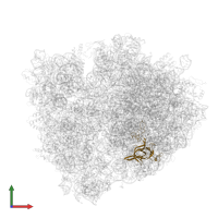 Large ribosomal subunit protein uL3 in PDB entry 4v8x, assembly 1, front view.