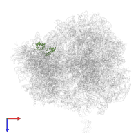 Small ribosomal subunit protein uS15 in PDB entry 4v8z, assembly 1, top view.