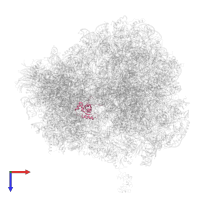 Small ribosomal subunit protein uS19 in PDB entry 4v8z, assembly 1, top view.