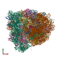 PDB entry 4v90 coloured by chain, front view.