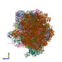 PDB entry 4v90 coloured by chain, side view.