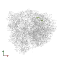 Large ribosomal subunit protein bL35 in PDB entry 4v90, assembly 1, front view.