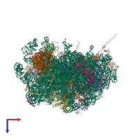 PDB entry 4v91 coloured by chain, top view.