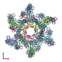 PDB entry 4v96 coloured by chain, front view.
