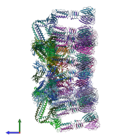 PDB entry 4v96 coloured by chain, side view.