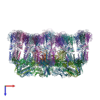 PDB entry 4v96 coloured by chain, top view.