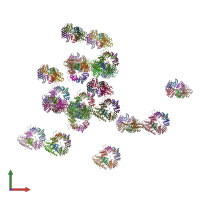 PDB entry 4v98 coloured by chain, front view.