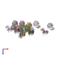 PDB entry 4v98 coloured by chain, top view.