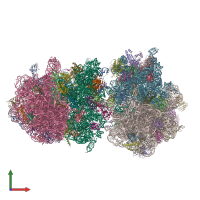 PDB entry 4v9b coloured by chain, front view.