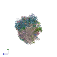PDB entry 4v9b coloured by chain, side view.