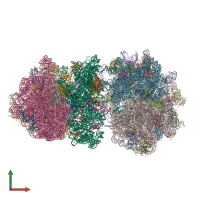 PDB entry 4v9c coloured by chain, front view.